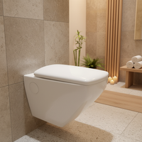 WC suspendu monobloc à chasse directe, design moderne en céramique, sanitaires suspendus au mur
