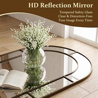 Arched Full Length Aluminum Farmhouse Window Pane Decorative Leaning Wall Mounted Floor Mirror Metal Frame