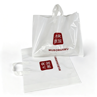 Bolsa de Compras de Plástico Personalizada con Asa de Lazo y Logotipo Impreso, Bolsa de Compras de Plástico Tipo Boutique