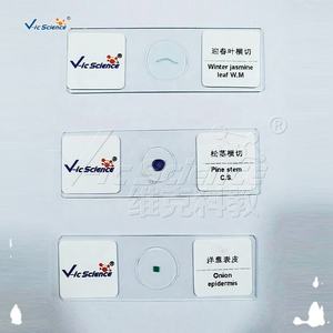 Portaobjetos de Botánica, Portaobjetos de Biología, Portaobjetos de <span class=keywords><strong>Microscopio</strong></span> de Botánica, Epidermis de Bulbo de <span class=keywords><strong>Cebolla</strong></span> - Product Image 6