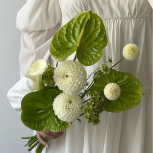 <span class=keywords><strong>Bouquet</strong></span> <span class=keywords><strong>de</strong></span> fleurs <span class=keywords><strong>de</strong></span> mariage, <span class=keywords><strong>bouquet</strong></span> <span class=keywords><strong>de</strong></span> mariée au toucher réel, blanc et vert, bouquets <span class=keywords><strong>de</strong></span> mariage, fleurs artificielles, <span class=keywords><strong>bouquet</strong></span> <span class=keywords><strong>de</strong></span> demoiselle d'honneur - Product Image 1
