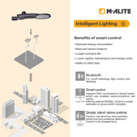 Réverbère fiable d'ASL05 IP65 AC LED avec l'alliage d'aluminium de compatibilité de prise de NEMA Zhaga
