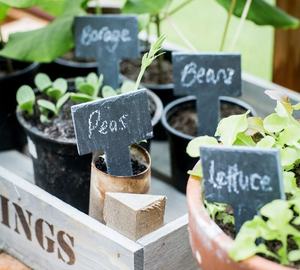 Fournitures de jardin bon marché étiquettes de plantes en <span class=keywords><strong>ardoise</strong></span> naturelle avec talc <span class=keywords><strong>craie</strong></span> étiquettes de plantes noires étiquettes de jardin de pépinière - Product Image 1