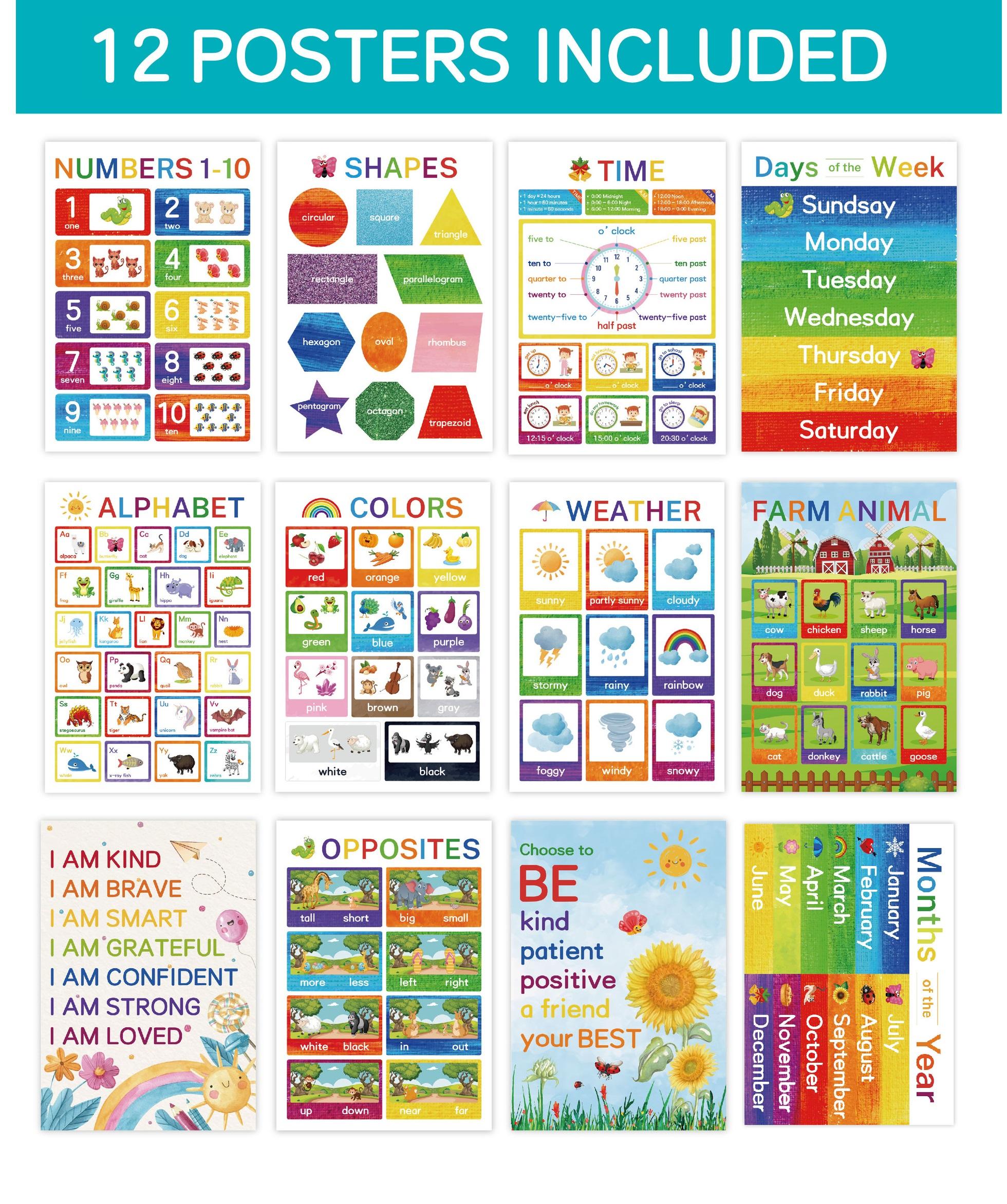 Mixed color -12 Sheets-YXJ