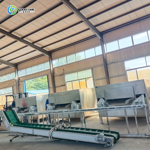 Proveedor <span class=keywords><strong>de</strong></span> línea para freír frutos secos a gran escala para cacahuetes fritos, anacardos y habas, línea automática para freír y mezclar frutos secos - Product Image 1