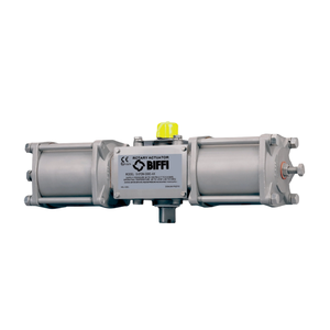Biffi Morin S Nouvelle Série d'actionneurs cylindriques originaux Biffi Morin S en acier inoxydable résistant à la corrosion - Product Image 3