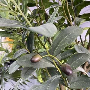 Árbol de olivo artificial natural, decoración para el hogar de lujo, novedad, suministro de fábrica - Product Image 5