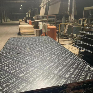 Ván ép phủ phim phenolic chống thấm Camelply 1220*2440*18mm dùng cho xây dựng khuôn mẫu - Product Image 1