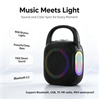 IPX4 Wasserdichter Outdoor Mini Bluetooth-Lautsprecher mit RGB-Licht, FM-Radio, Tiefbass und Tragehaken für Rucksack