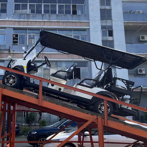 Véhicule de tourisme populaire Borcart Bus touristique électrique et voiture voiturettes de golf personnalisation de voiture vintage voiture de tourisme - Product Image 1