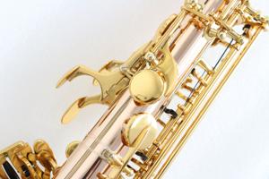 <span class=keywords><strong>Saxophone</strong></span> <span class=keywords><strong>alto</strong></span> <span class=keywords><strong>droit</strong></span> en laiton doré avec laque transparente, emballage OEM, tonalité EB, <span class=keywords><strong>saxophone</strong></span> <span class=keywords><strong>alto</strong></span> <span class=keywords><strong>droit</strong></span> - Product Image 6