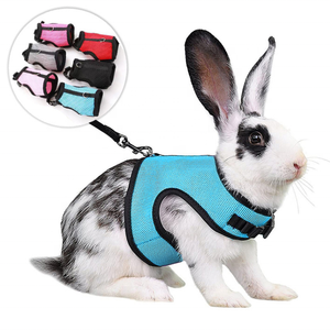 Ensemble Harnais et Laisse pour Animaux de Compagnie avec Lumières, <span class=keywords><strong>Gilet</strong></span> à Carreaux pour Cochon d'Inde, Lapin, Chat, Chien, pour la Marche en Extérieur et l'Entraînement - Product Image 1