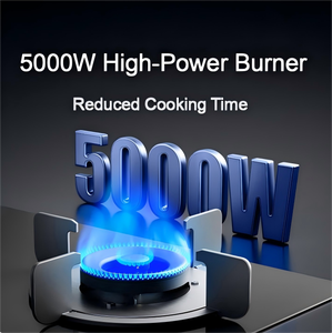 Estufa de <span class=keywords><strong>gas</strong></span> inteligente S1 de 5000W Clase <span class=keywords><strong>a</strong></span> de eficiencia energética <span class=keywords><strong>Gas</strong></span> <span class=keywords><strong>natural</strong></span>/eléctrica incorporada <span class=keywords><strong>para</strong></span> uso doméstico Fuente de alimentación manual - Product Image 6