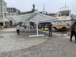 Tenda <span class=keywords><strong>da</strong></span> <span class=keywords><strong>sole</strong></span> retrattile a braccio pieghevole a doppio lato di lusso con sensore vento-pioggia per il funzionamento manuale per la <span class=keywords><strong>copertura</strong></span> del balcone - Product Image 5