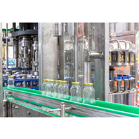 Chaîne de production complète pour la fabrication de jus de fruits naturels avec machine de remplissage à chaud, pour jus de pomme, orange, mangue, citron