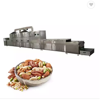Industriële Grote Productiecapaciteit Tunnel Magnetron Dehydrator Machine Voor Graan Insect Of Fruit