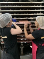 Commerciële vacuümvriesdroger lyofilisator van roestvrij staal voor het vriesdrogen van fruit, groenten, dierenvoer en snacks