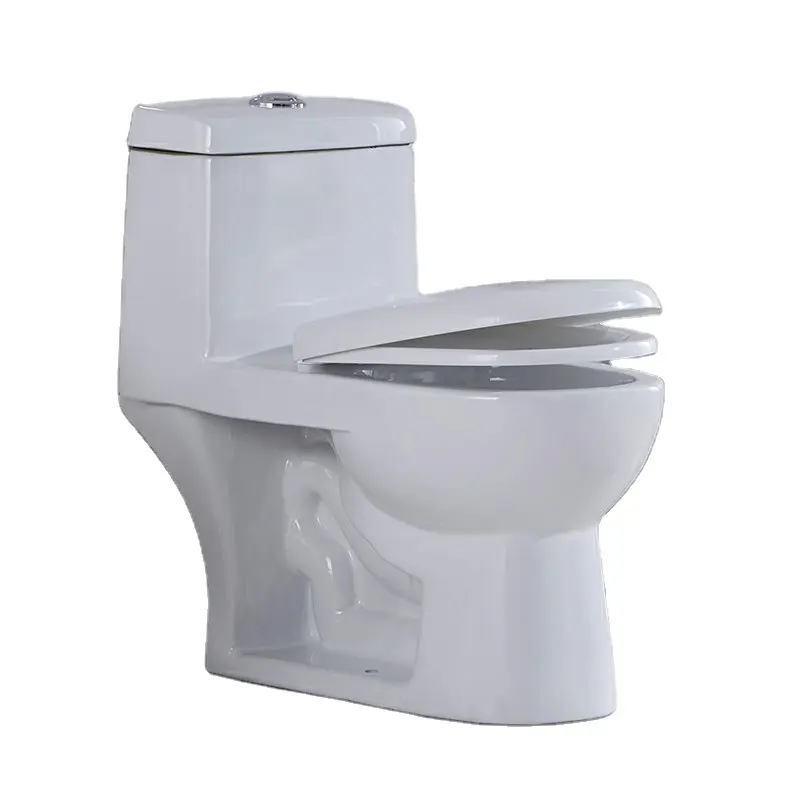 Water Saving Dual Flush One Piece Toilet