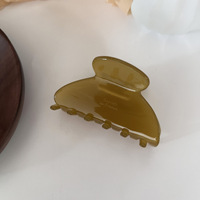 Barrettes à cheveux vintage pour femmes, pinces à cheveux en acétate pour filles, petites épingles à cheveux pour filles élégantes, accessoires pour cheveux