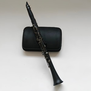 <span class=keywords><strong>Clarinetto</strong></span> Professionale a 17 Tasti in Tonalità B, con Bottoni in Nichel Nero, in Bachelite Antiesplosione, Fornitura Transfrontaliera Diretta dalla Fabbrica - Product Image 1