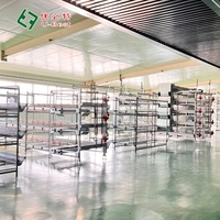 Nouvel équipement automatique de ponte de type H pour poules pondeuses, cages pour élevages avicoles