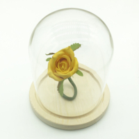 Dôme en verre rose préservé pour décoration intérieure nordique