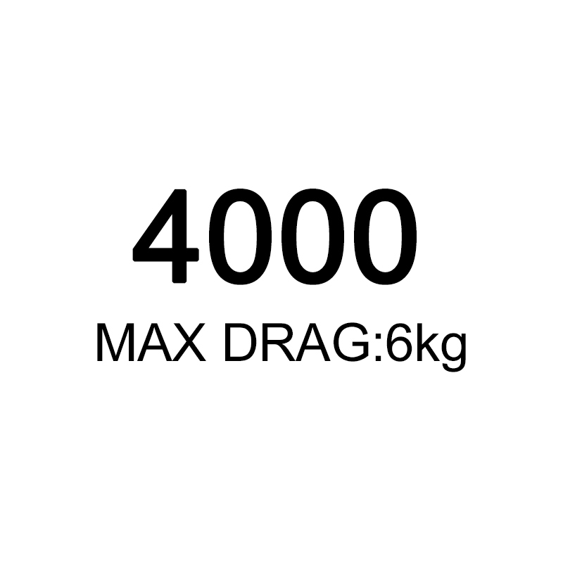 4000
