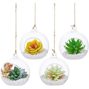 Globe en verre borosilicaté creux clair personnalisé pour la décoration de la maison Design moderne plante suspendue sphère mur Vase terrariums - Product Image 5