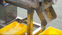 0,5T-5T/H Machine voor het extraheren van gember sap met laag afvalpercentage