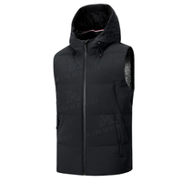 Oem Gilet en duvet personnalisé col montant Canada Plus Manteau pour hommes Manteau en duvet d'oie pour femmes