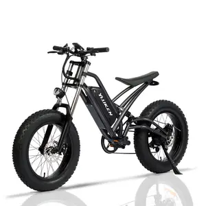20 inç elektrikli motosiklet bisiklet A6AH20F 36v 250w 350w 48v 500w 750w 1000w elektrikli bisiklet