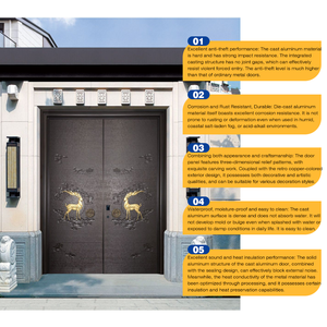 Porte en aluminium coulé antivol avec matériau résistant aux chocs pour la sécurité résidentielle - Product Image 4