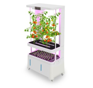 Équipement d'agriculture verticale haut de gamme Torre Hidroponica Smart Greens pour la culture de légumes écologiques - Product Image 3