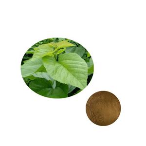Порошок экстракта листьев тутового дерева от производителя/экстракт листьев тутового дерева с 1%/5% DNJ - Product Image 4