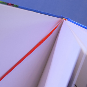 แคตตาล็อกและโบรชัวร์ปกแข็งขายดีอันดับต้นๆ พร้อมเคลือบฟิล์ม ปั๊มนูน/ปั๊มจม พิมพ์แบบกำหนดเอง - Product Image 2