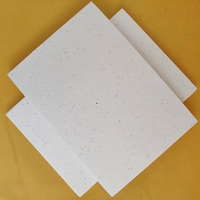 Soldes Exceptionnelles : Papier Gravé à la Main Style Graines, Épaisseur Mixte 130-150 g/m², Format A4