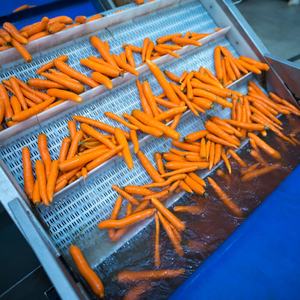 果物と野菜のためのフライト付き傾斜フラットトップモジュラーベルト<span class=keywords><strong>Z</strong></span>タイププレートチェーンコンベヤー - Product Image 6