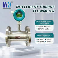 Industrial Digital Flow Meter Stainless Steel Turbine Liquid Fuel Diesel & Oil Variable River Water Flowmeter for Measurement