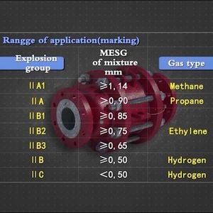 अनुकूलित DN20-400 इन-लाइन डिफ्फ्लैग लौ रेस्टर आइसो16852 और api 2000 प्रमाण पत्र EQU-LNG-ILDFA - Product Image 4