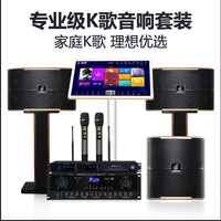 Haut-parleurs de karaoké PH-10 bidirectionnels 10 pouces 200W pour utilisation KTV/Party DJ-Système de haut-parleurs sans fil