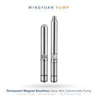 Pompe à eau solaire submersible 4TS3.5-60-D48/600 72V 900W avec contrôleur CC sans balais et contrôleur CA/CC pour puits profond