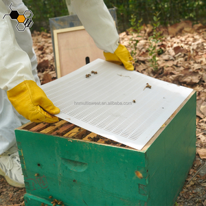 Outils d'apiculture 51X41cm Langstroth 10 Cadre En Plastique <span class=keywords><strong>Abeille</strong></span> <span class=keywords><strong>Reine</strong></span> Excluder à <span class=keywords><strong>Vendre</strong></span> - Product Image 1