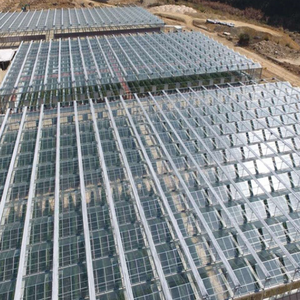 Fauteuil solaire 12 v avec économie d'énergie, serre agricole en verre, végétation/floraison - Product Image 2