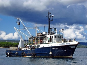 Grandsea 22m Acero y FRP Barco de pesca comercial Nueva condición Monedero Sena Recipiente con combustible diésel para la venta - Product Image 2