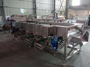 Trieuse automatique de pommes de terre trieuse de tomates Orange Avacados Myrtille <span class=keywords><strong>Cerise</strong></span> Trieuse de tomates - Product Image 4