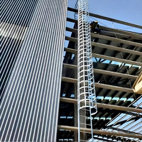 Échelle de sécurité industrielle personnalisée avec cage, échelle d'évacuation incendie, marches antidérapantes pour silo d'usine, tour, fabrication DIY ODM