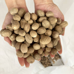 Muscade por atacado personalizado de alta qualidade sem casca noz moscada orgânica seca - Product Image 5