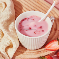 1 kg de poudre de lait aromatisée à la fraise avec fraises lyophilisées pour les magasins de bubble tea et de boissons