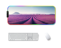 Tapis de souris de jeu RGB personnalisés en usine (caoutchouc naturel) - Tapis de bureau durables pour la maison/le bureau (stock disponible)