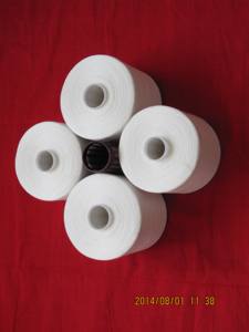 Fabrika doğrudan 40/3 halka eğrilmiş <span class=keywords><strong>Polyester</strong></span> iplik yüksek mukavemetli dikiş ipliği ham desen % 100% <span class=keywords><strong>Polyester</strong></span> tüm satış - Product Image 3